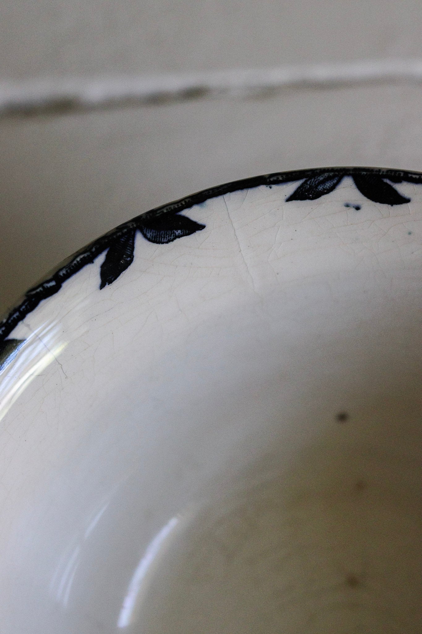 Antique French Transferware Bowl with Birds