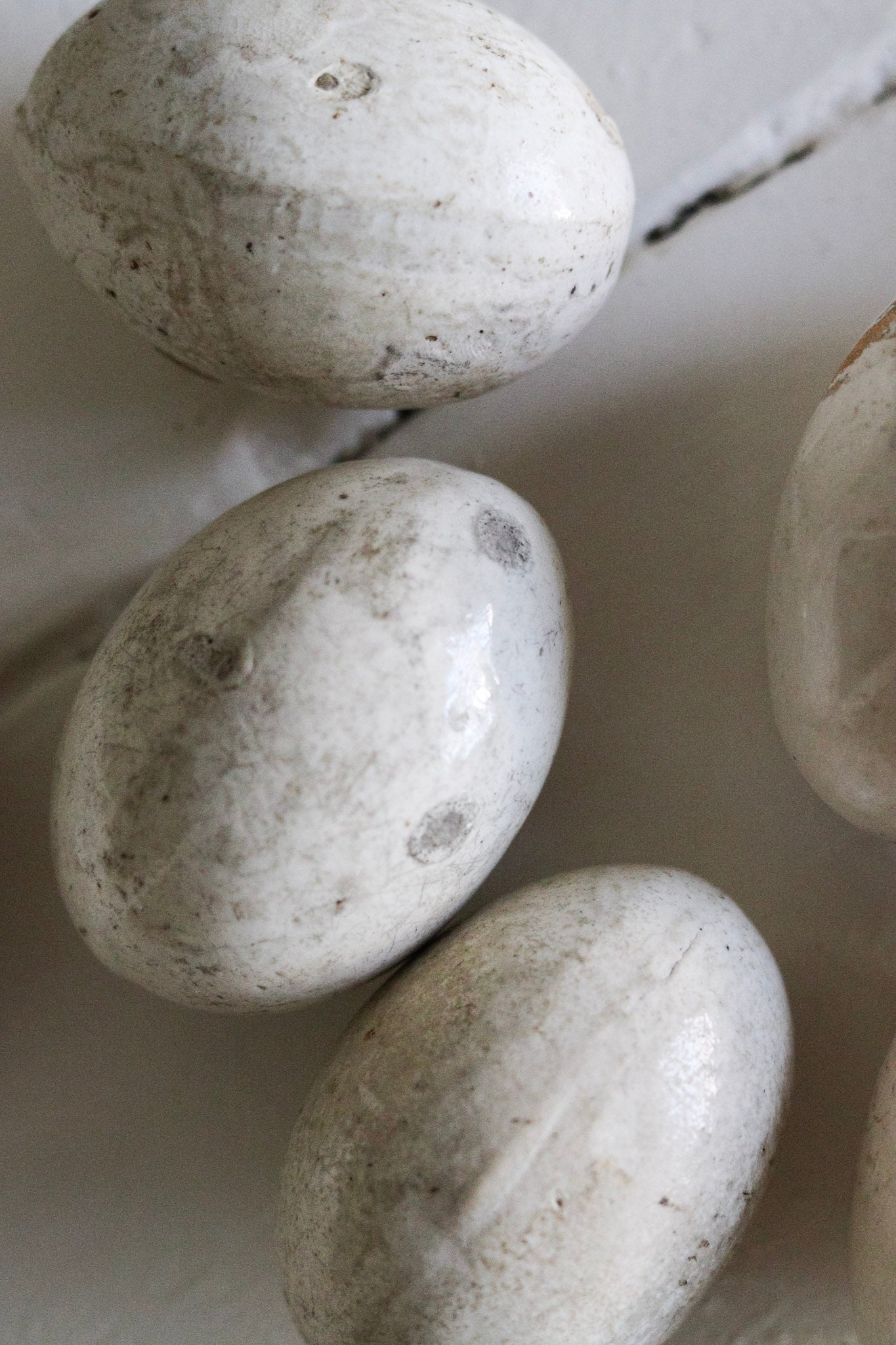 English Broody Hen Egg