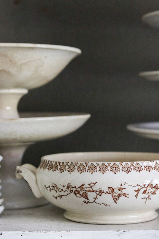 Antique French Transferware Tureen with Birds