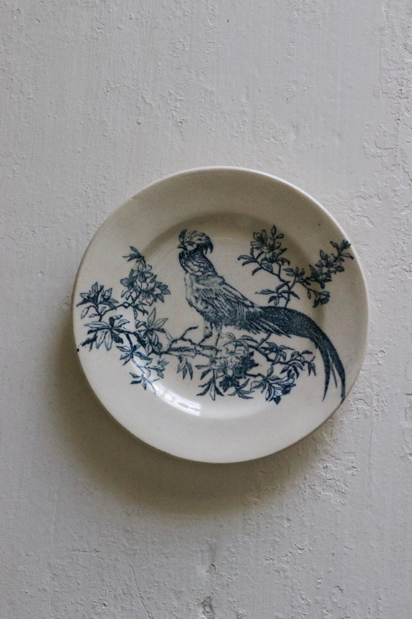 Antique French Transferware Child's Dînette Plate with Pheasant