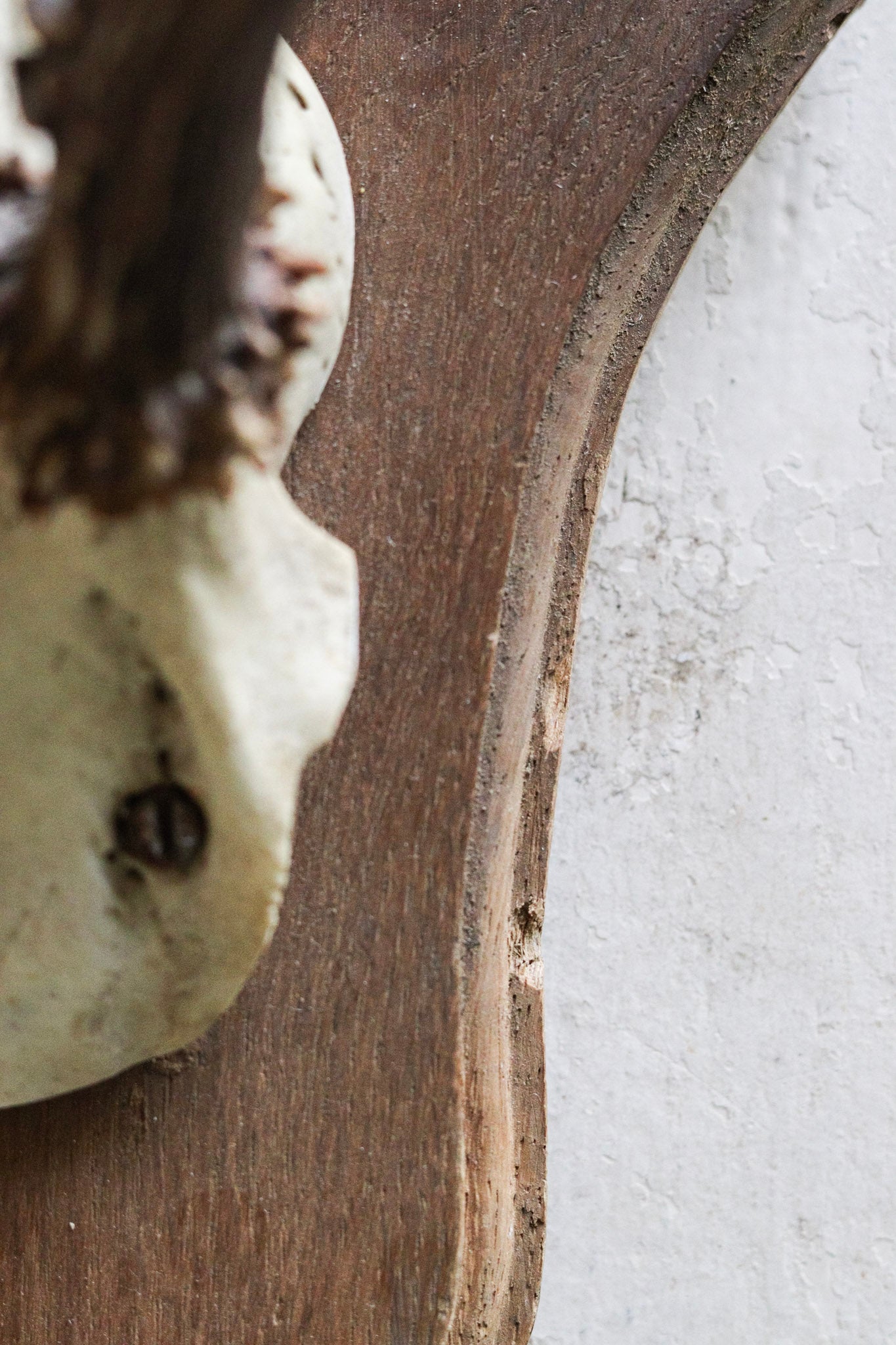 Petite Vintage European Antler Mount No.2