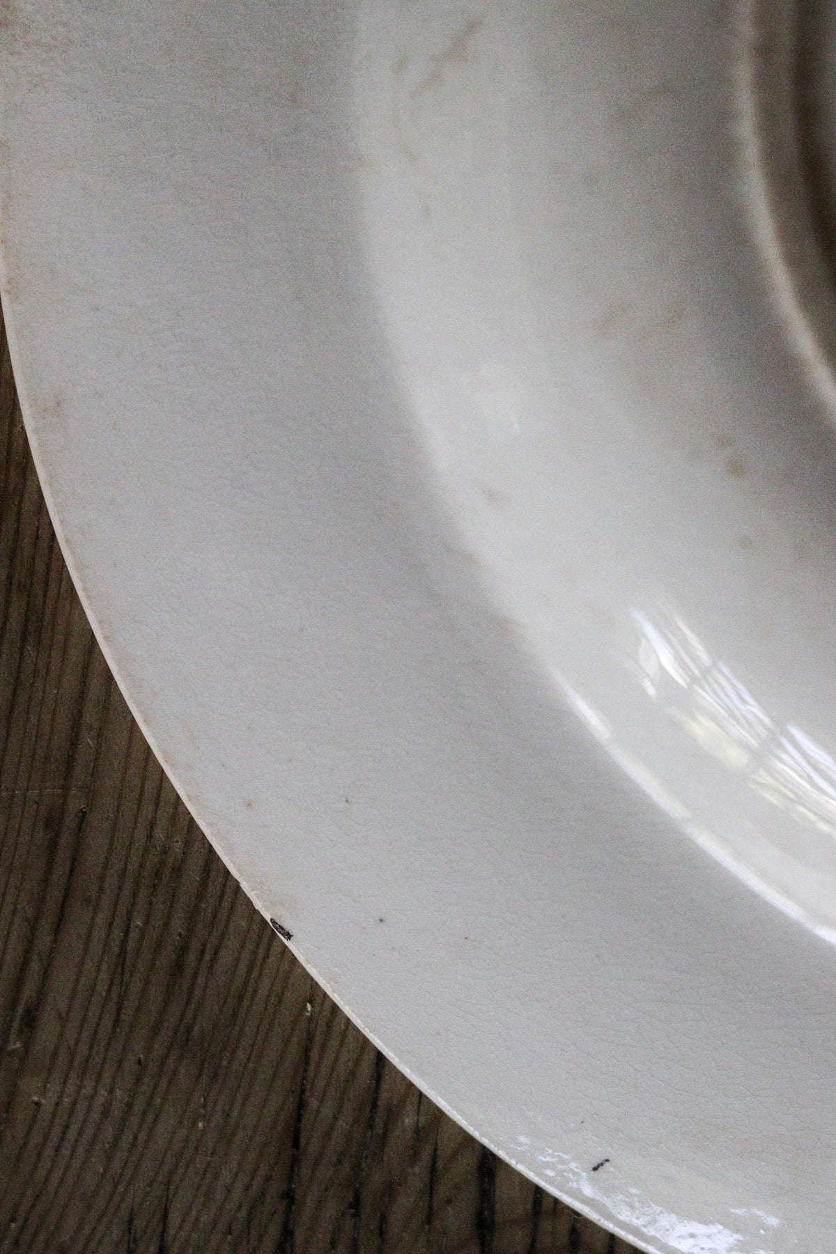 Antique French Transferware Shallow Bowl with Birds