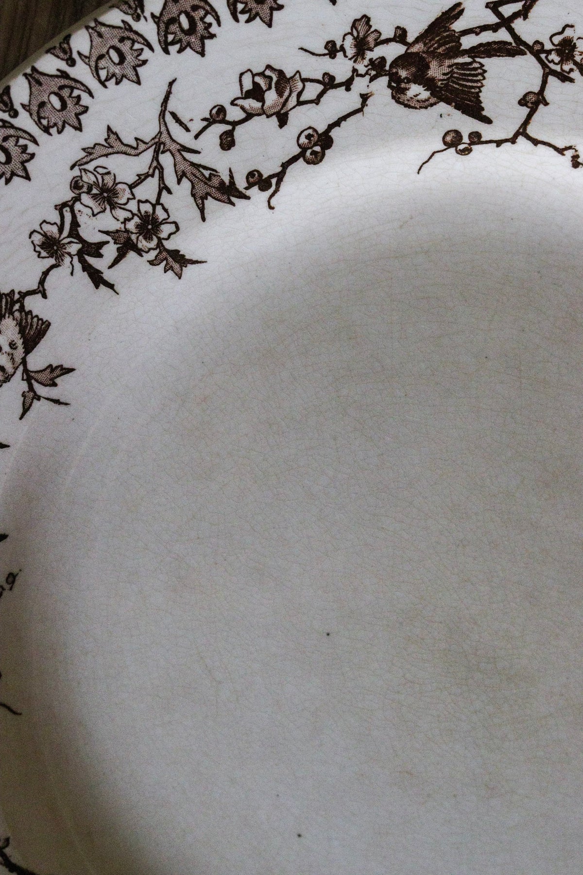 Large Antique French Transferware Plate with Birds