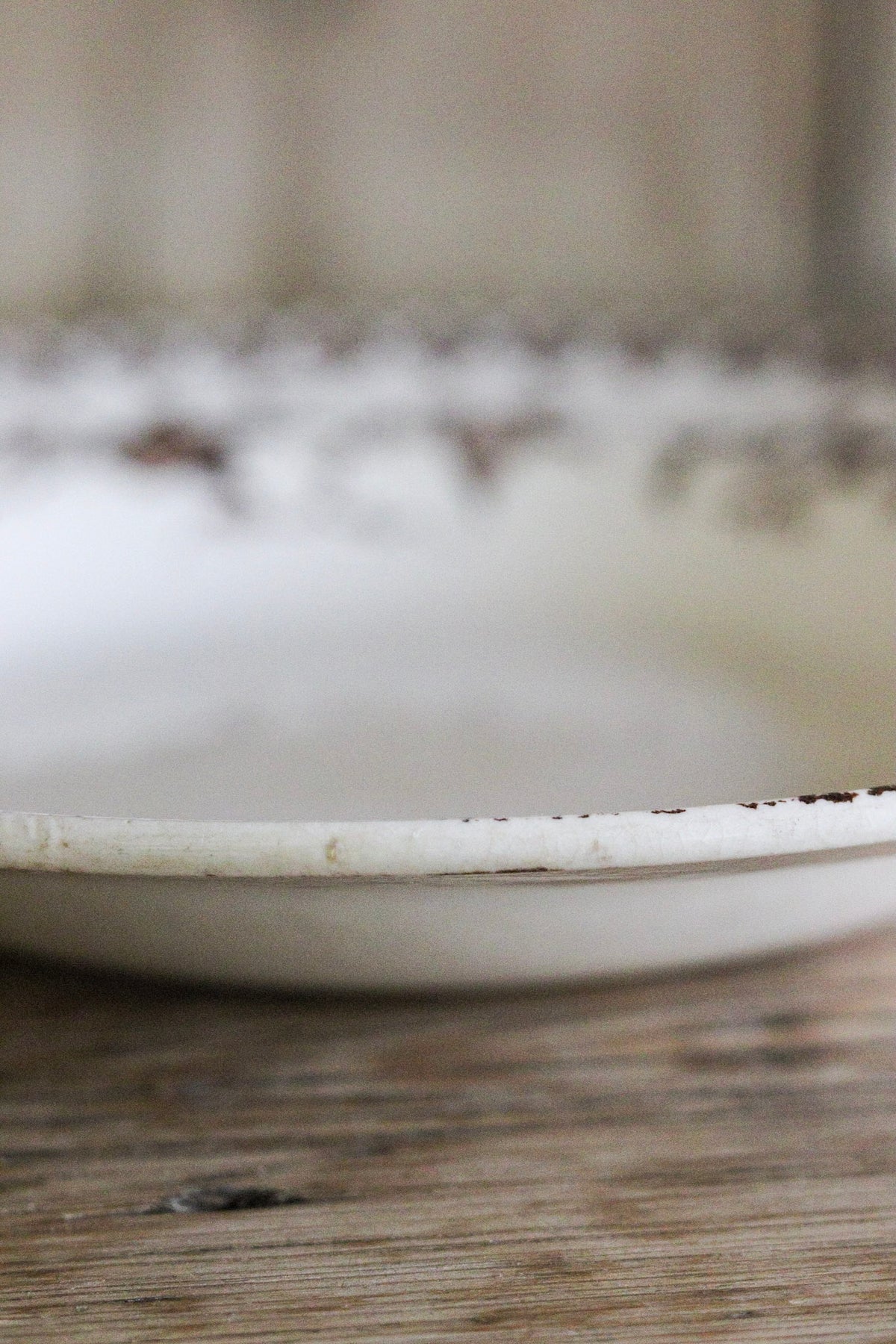 Antique French Transferware Shallow Bowl with Birds