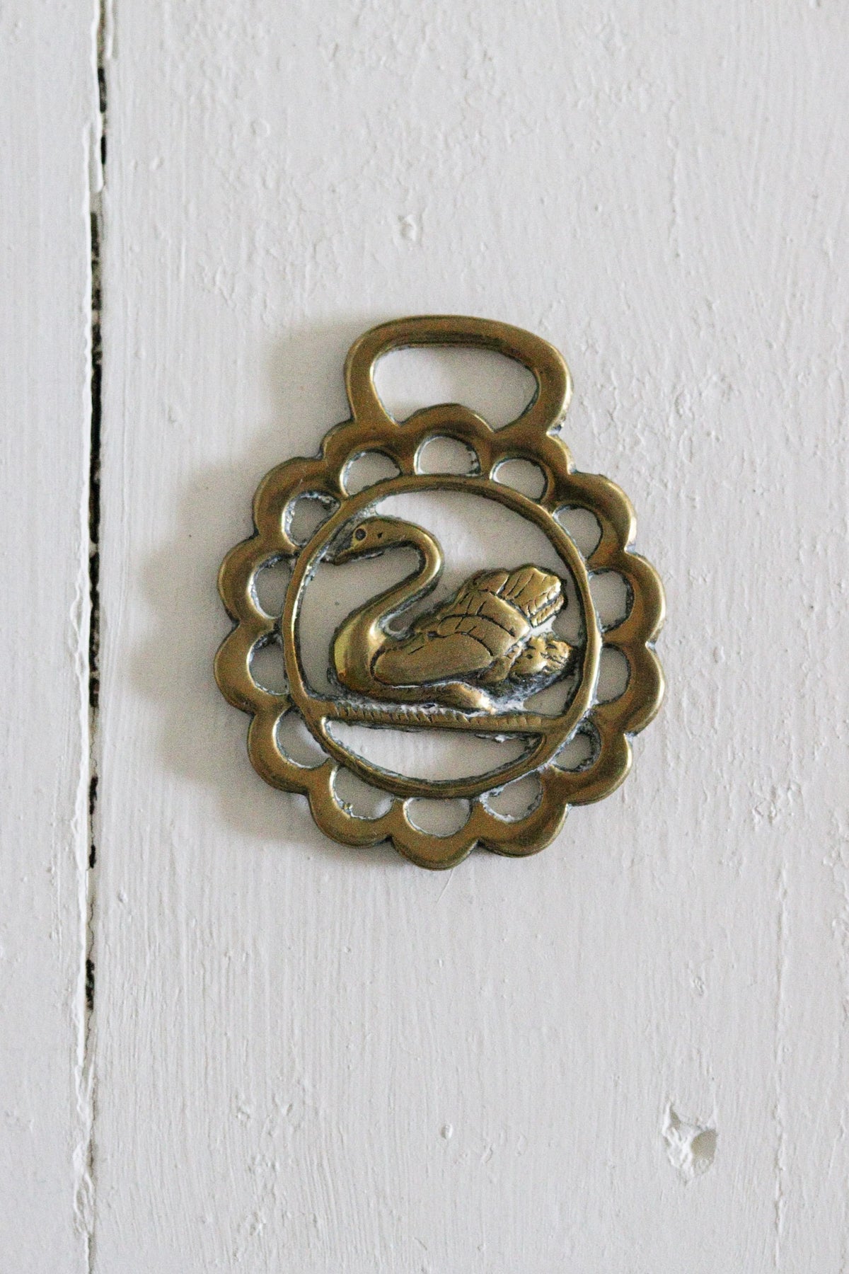 English Horse Brass - Swan