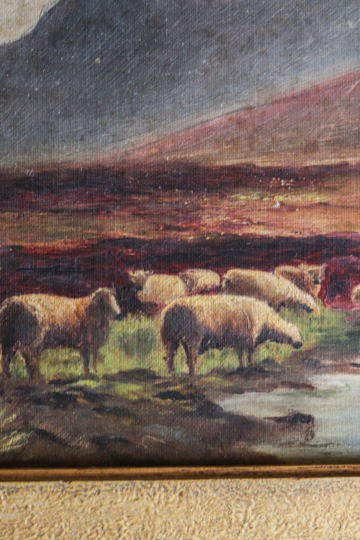 Sheep on the Highland Moor Oil Painting