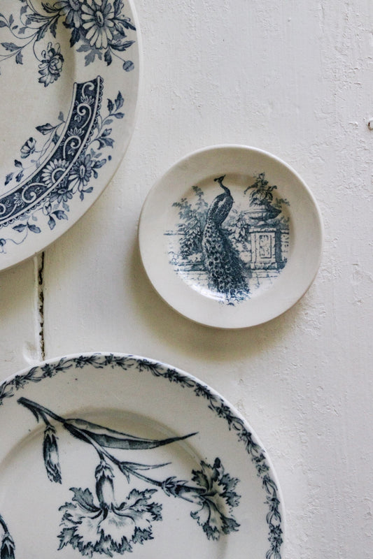 Antique French Transferware Child's Dînette Plate with Peacock