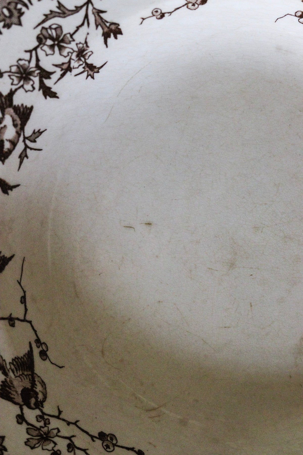 Antique French Transferware Shallow Bowl with Birds