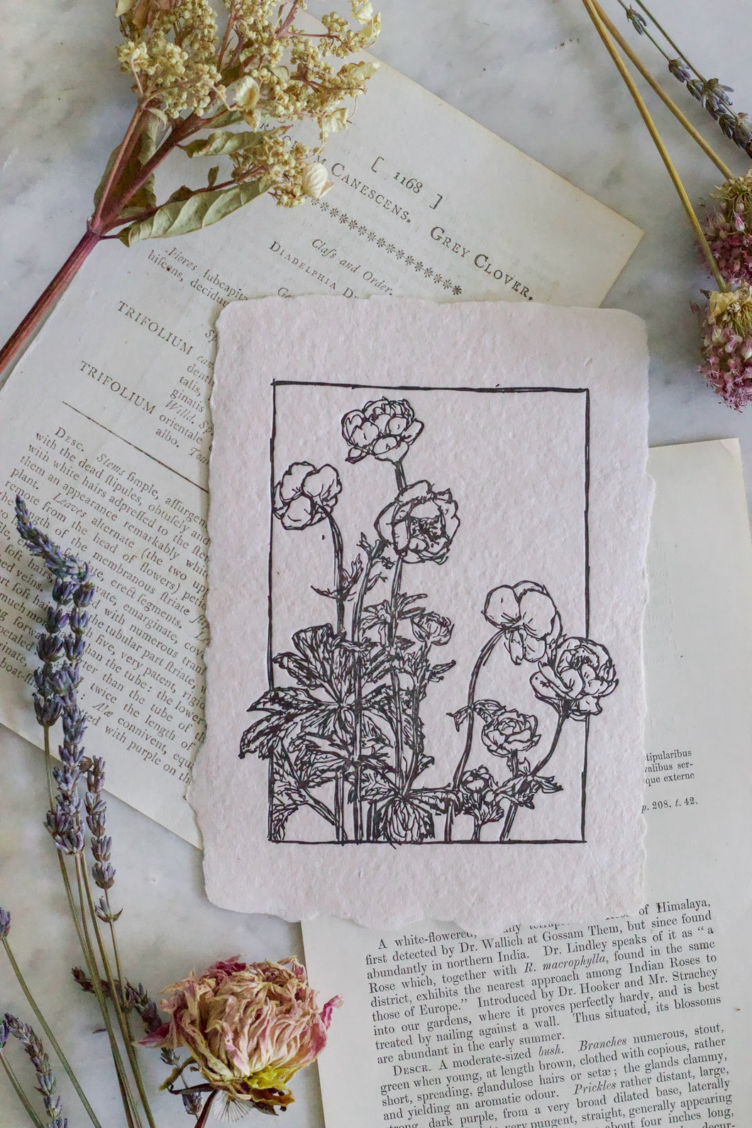 Handmade Letterpress Ranunculus Art Print