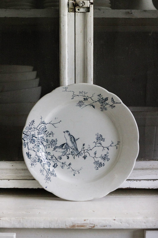 Antique French Transferware Plate with Birds