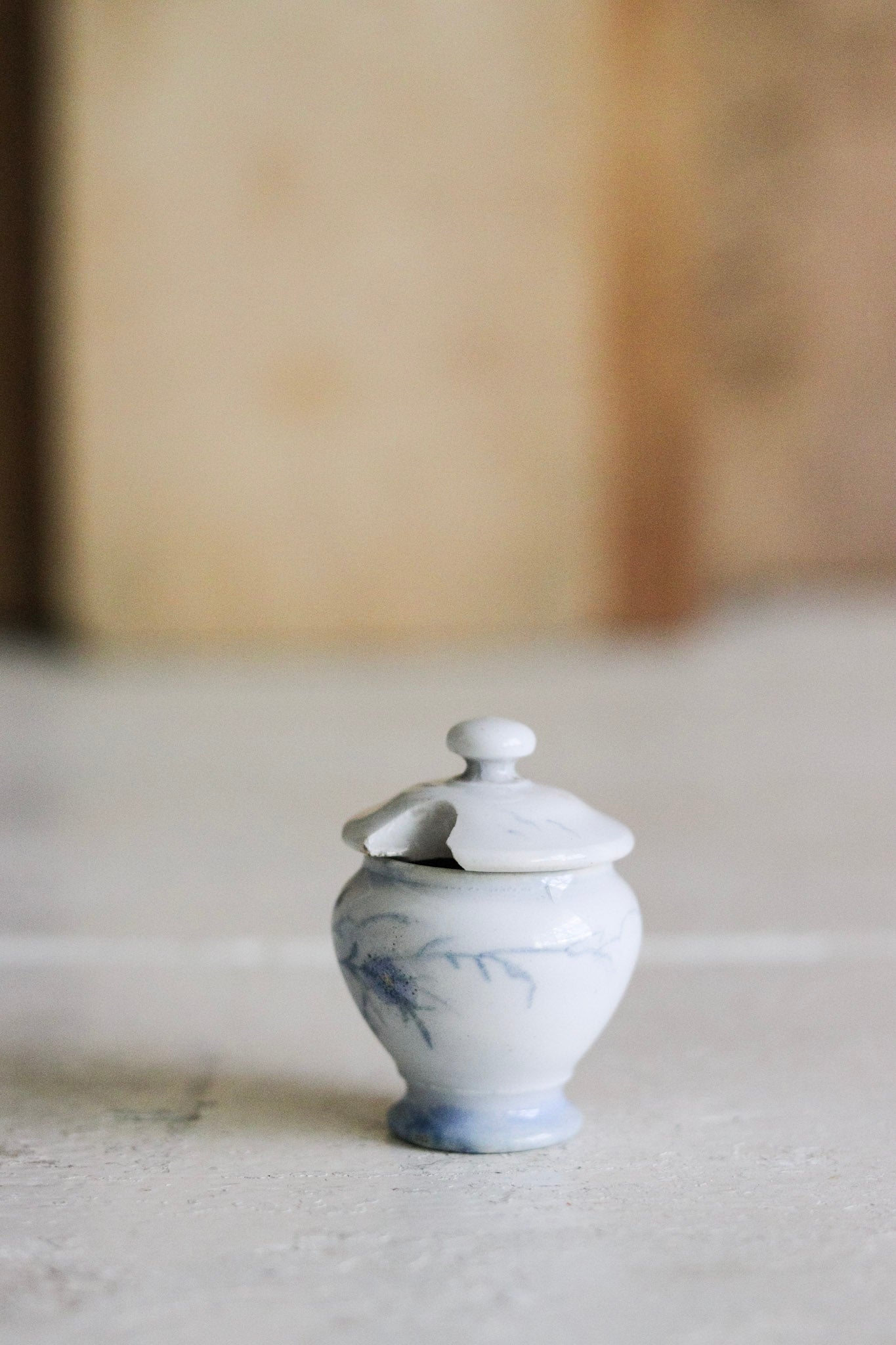 Antique French Dînette Set Transferware Mustard Pot with Lid