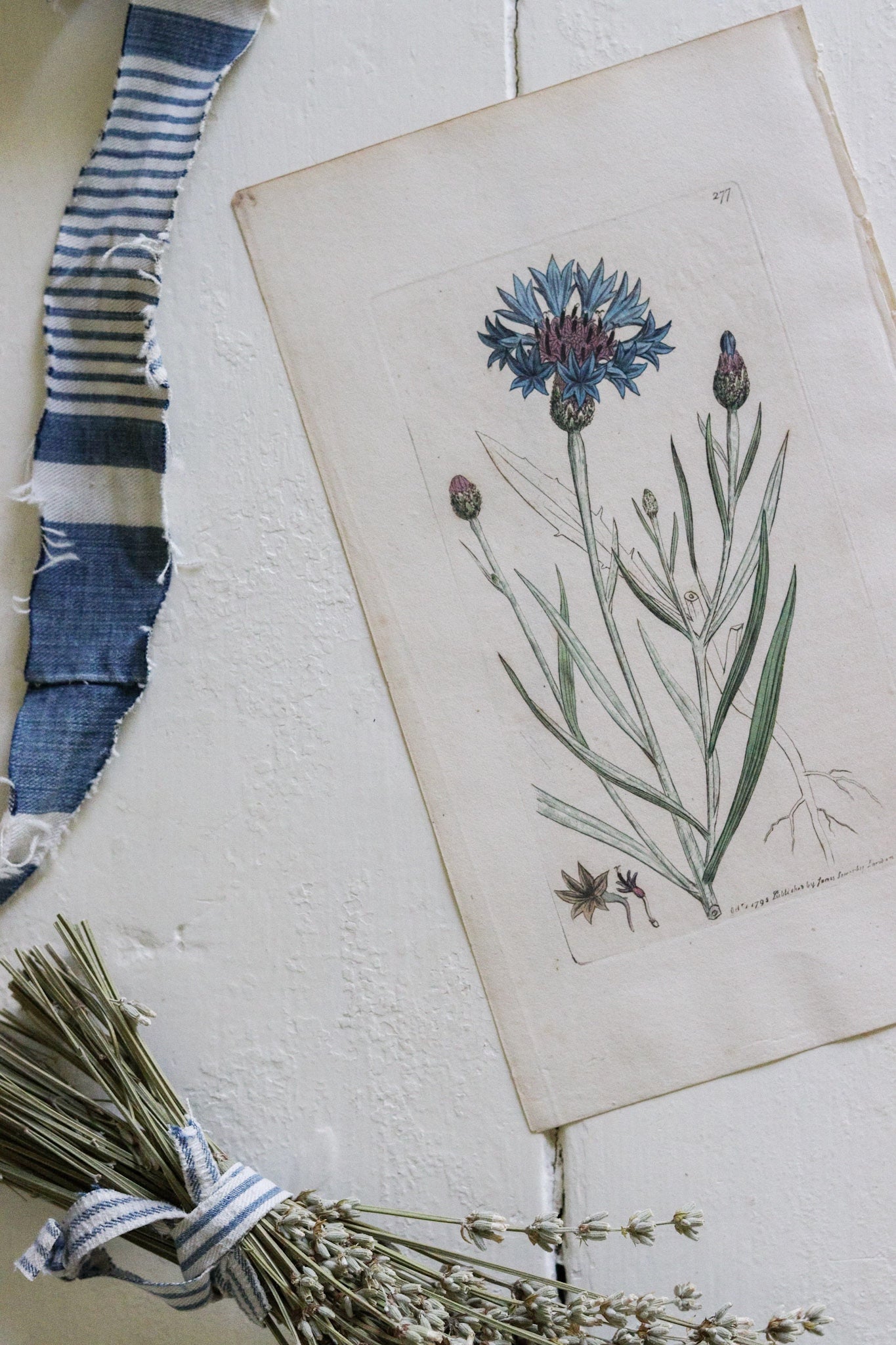 Antique Floral Print
