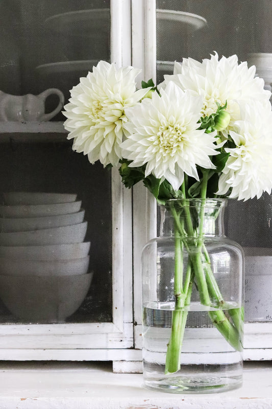 Vintage European Pickling Jar