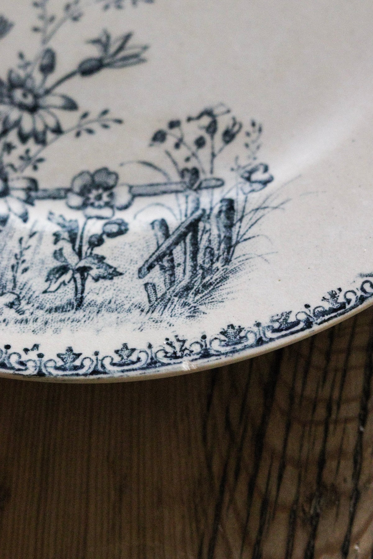 Antique French Transferware Plate with Flowers and Butterflies and Dragonflies