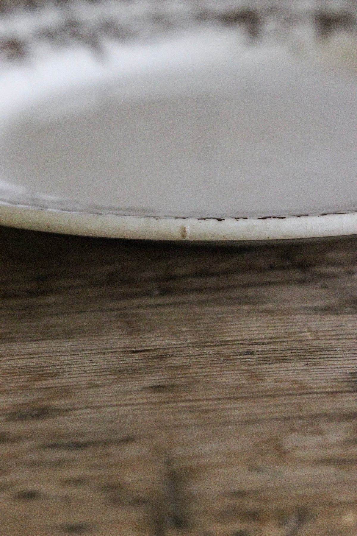 Large Antique French Transferware Plate with Birds
