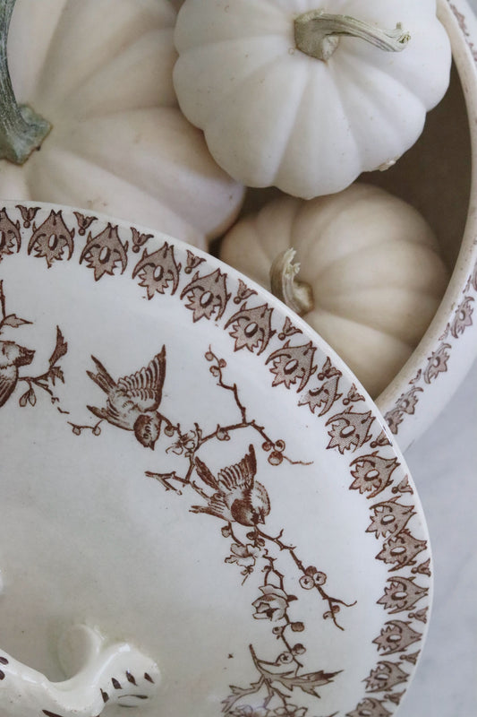 Antique French Transferware Tureen with Birds