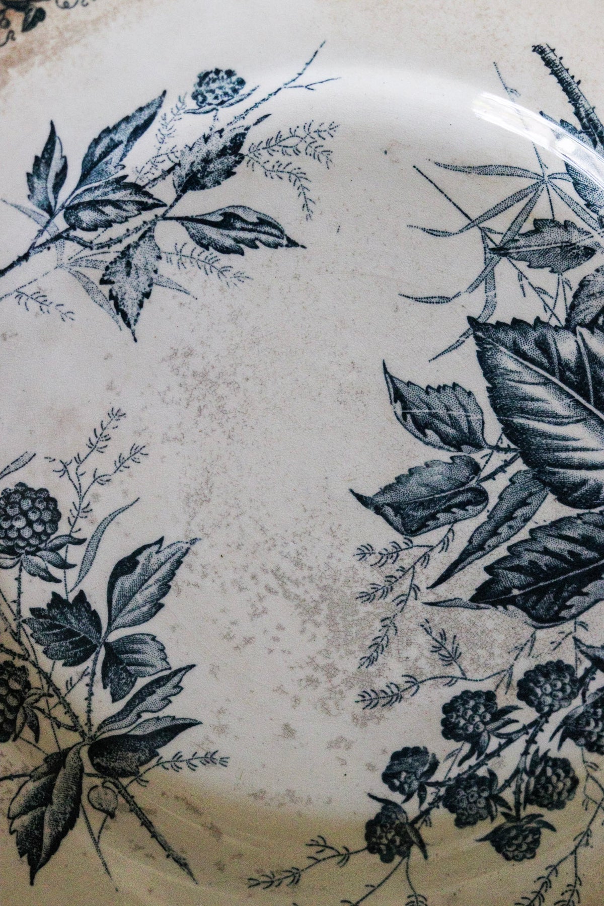 Antique French Transferware Plate with Blackberries