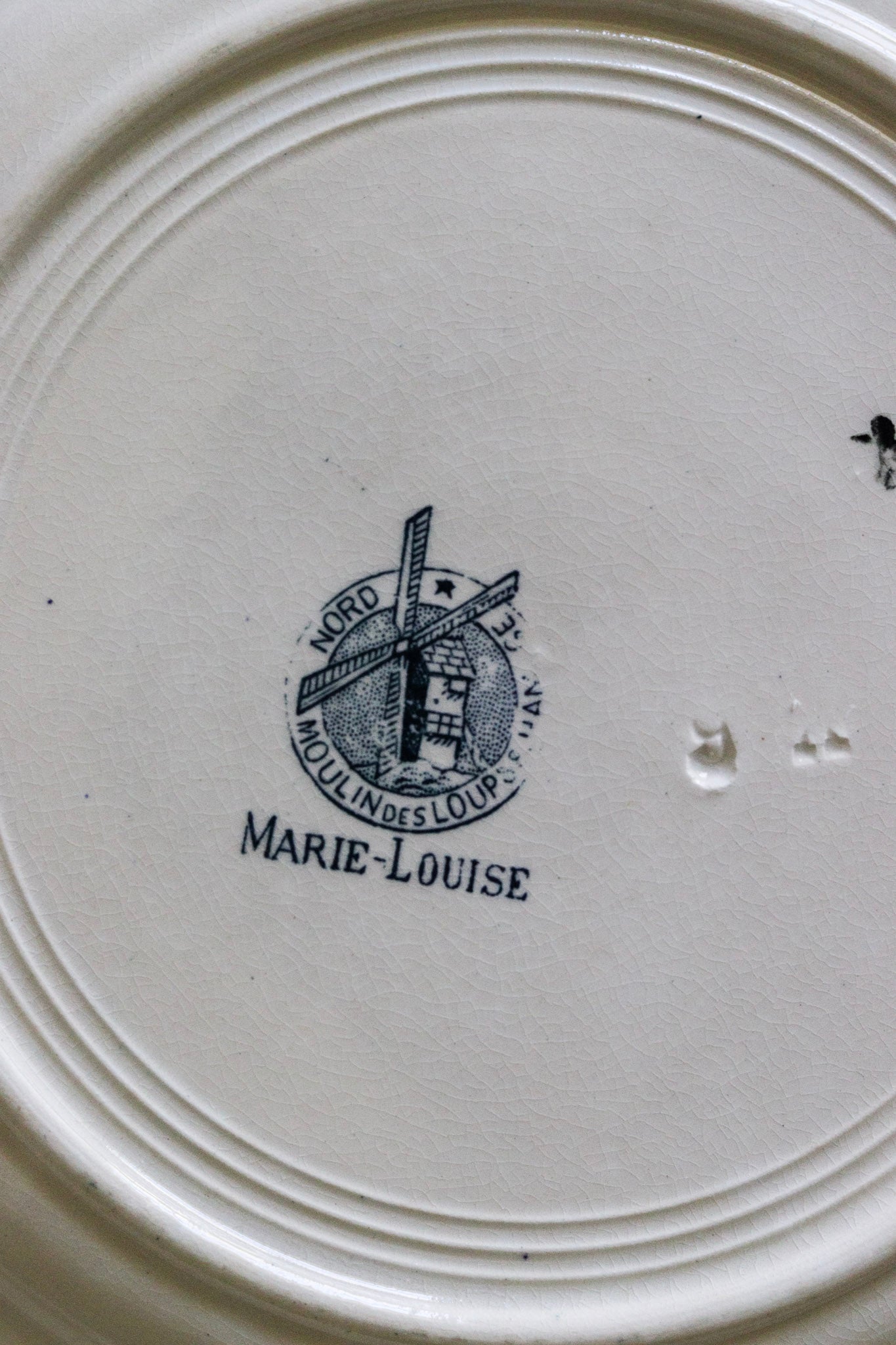 Antique French Transferware Plate with Flowers