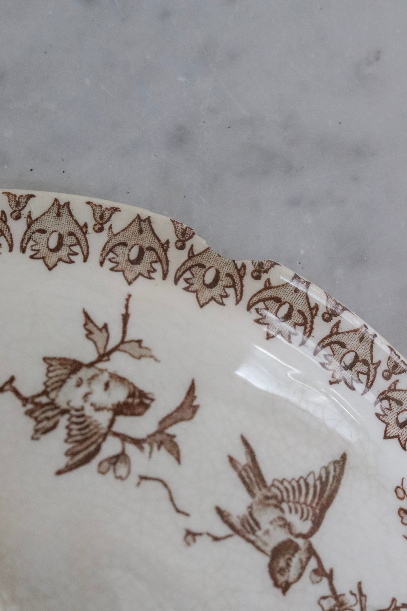 Antique French Transferware Tureen with Birds