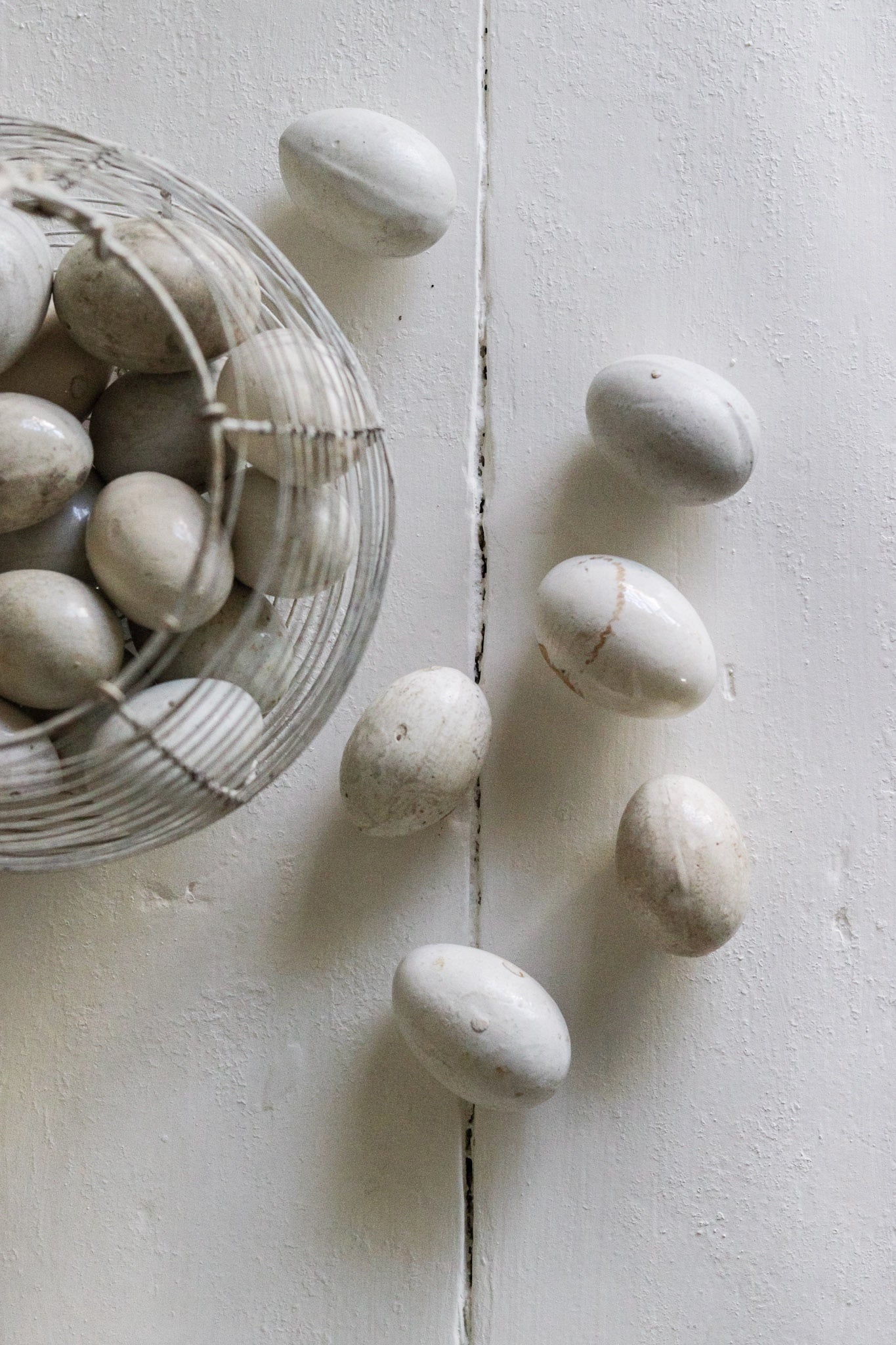 English Broody Hen Egg