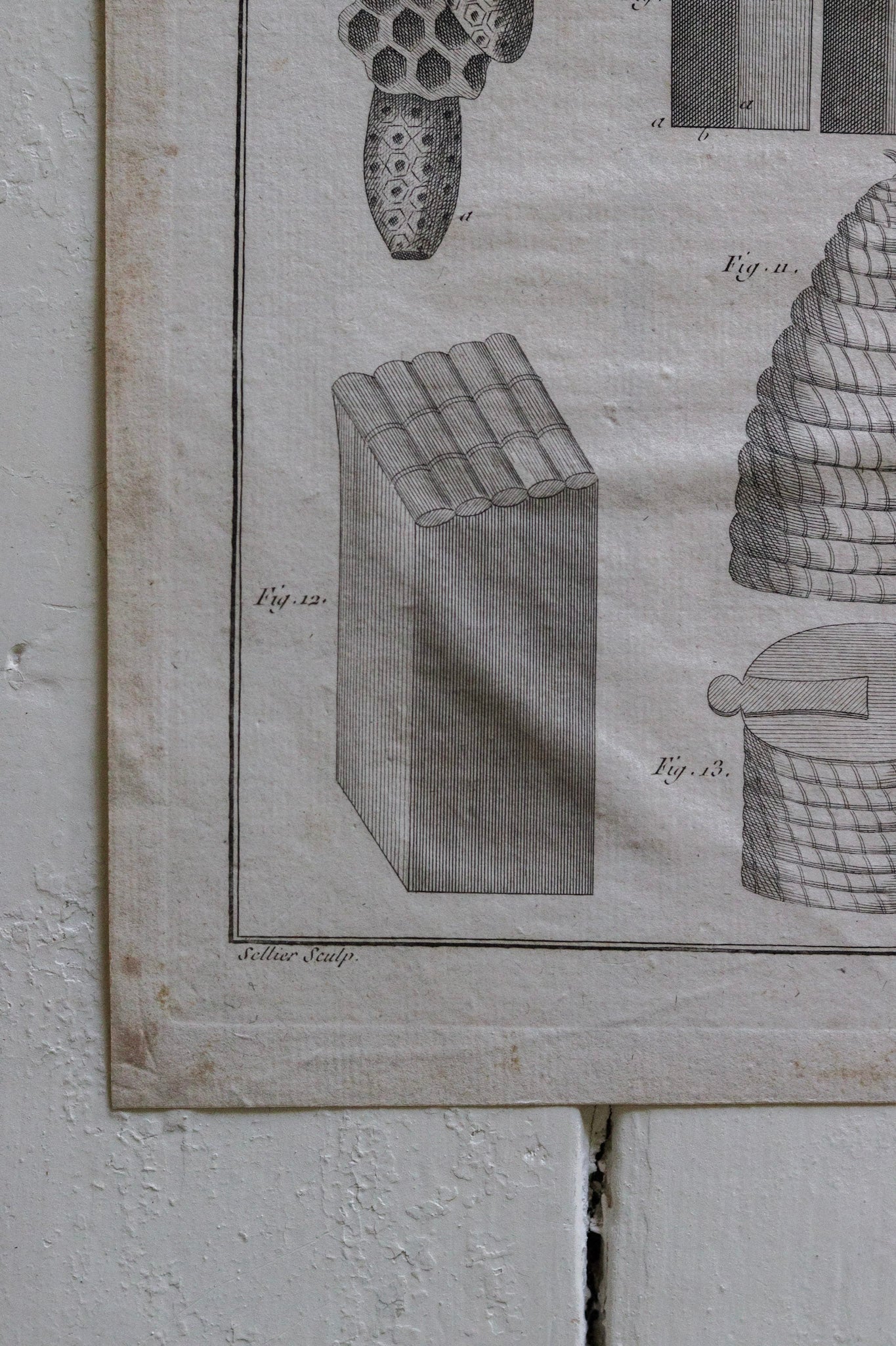 Antique French Bee, Bee Skep and Honeycomb Print