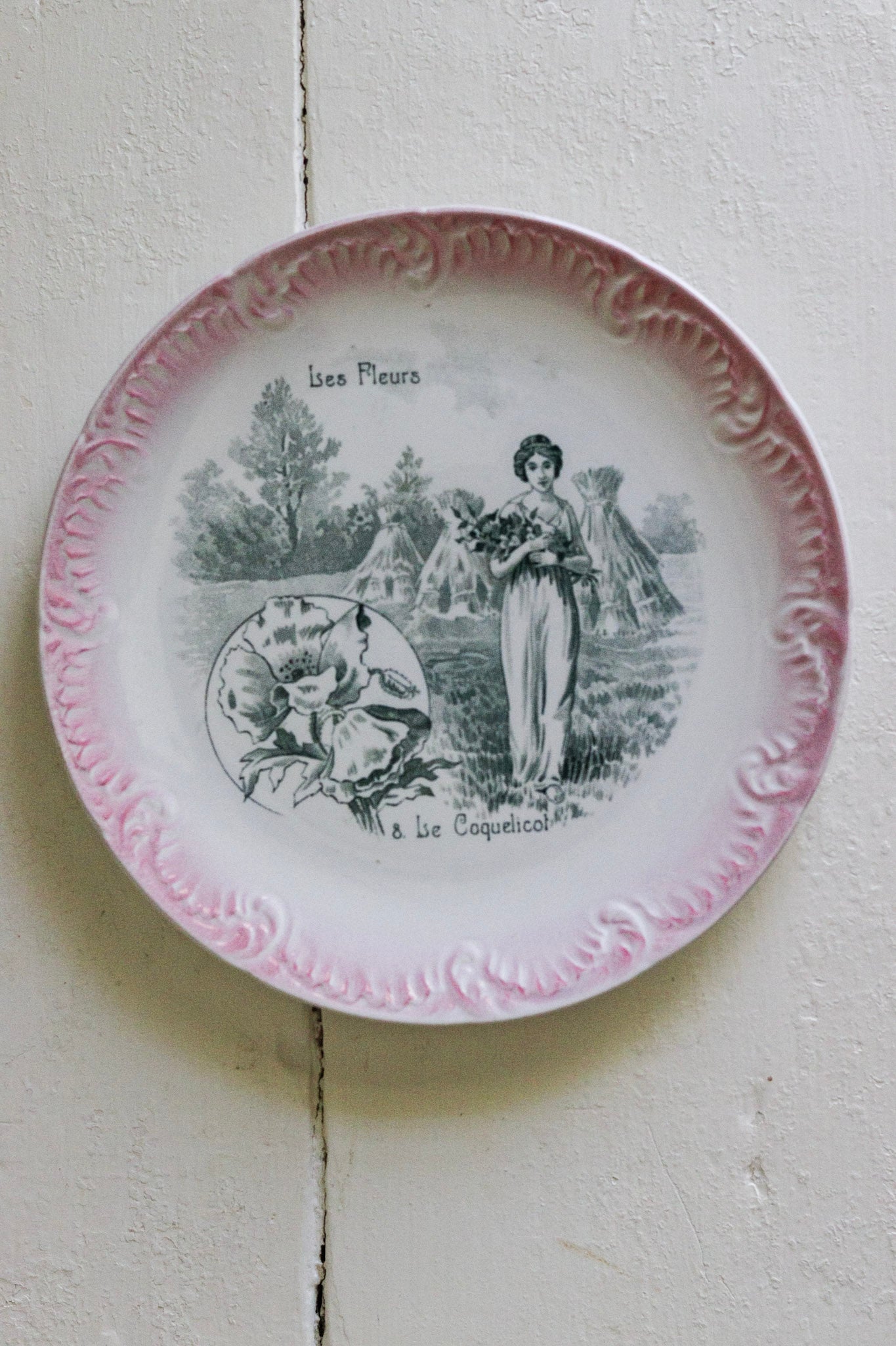 Antique French Transferware Plate - Le Coquelicot