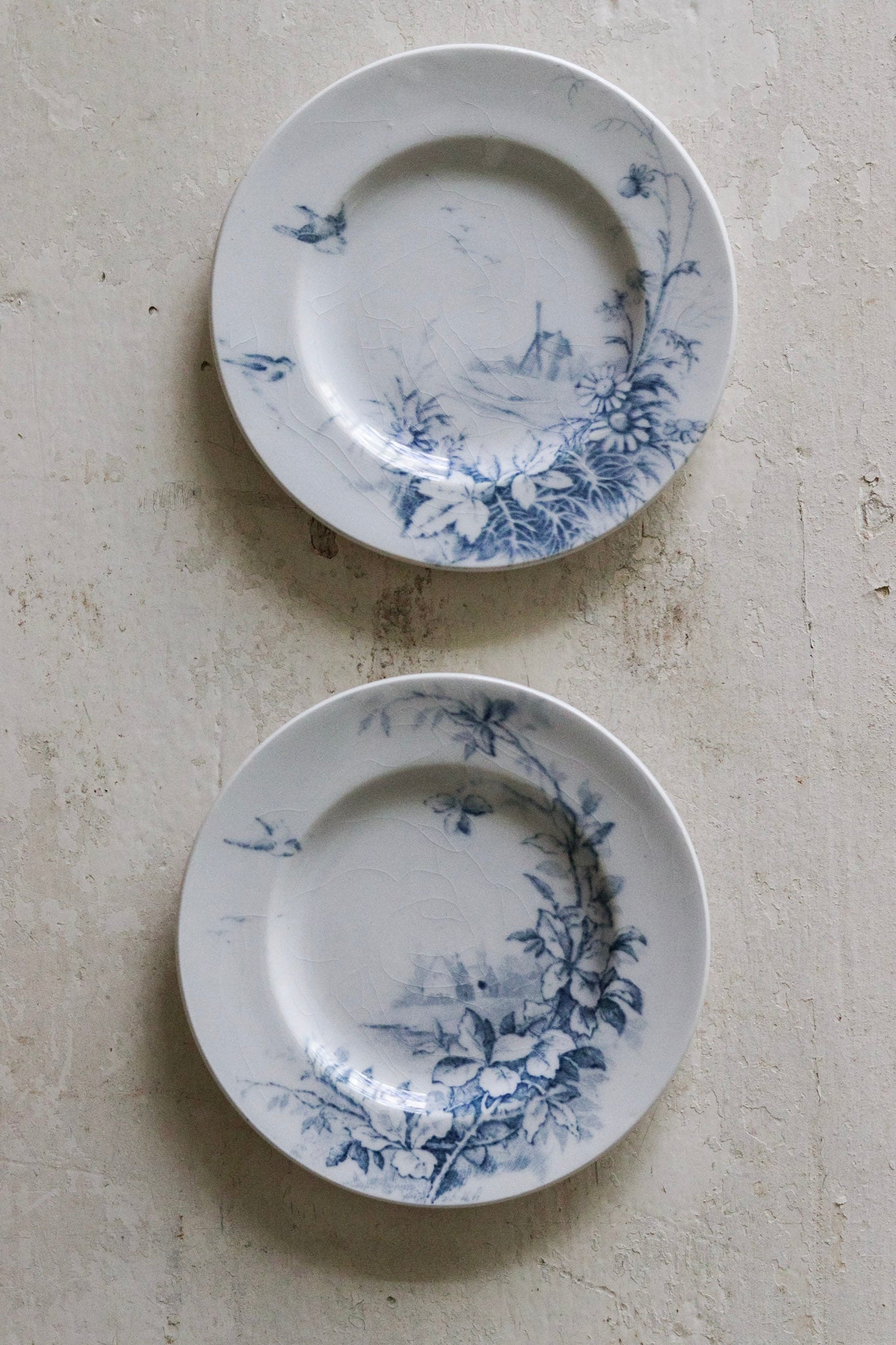 Pair of Antique French Dînette Set Transferware Salad Plates  No. 2