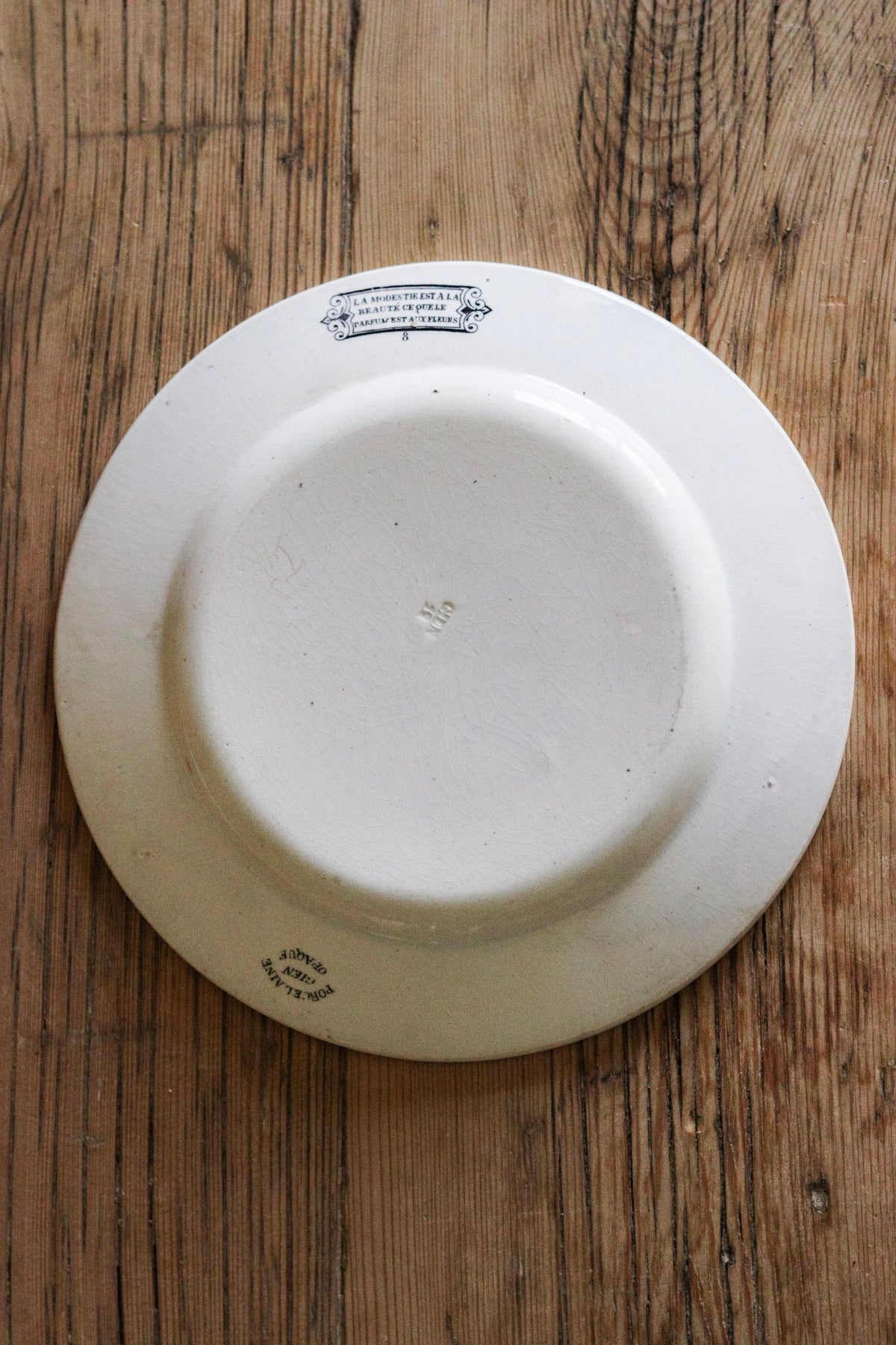 Antique French Transferware Plate