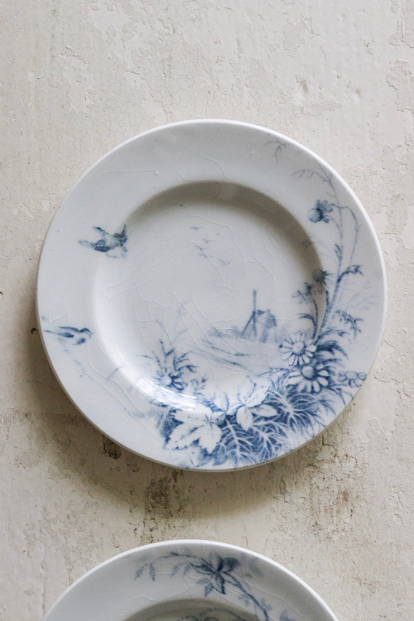 Pair of Antique French Dînette Set Transferware Salad Plates  No. 2
