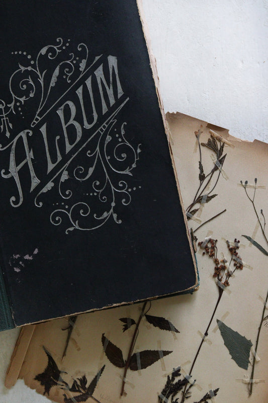 Antique English Herbarium Collection