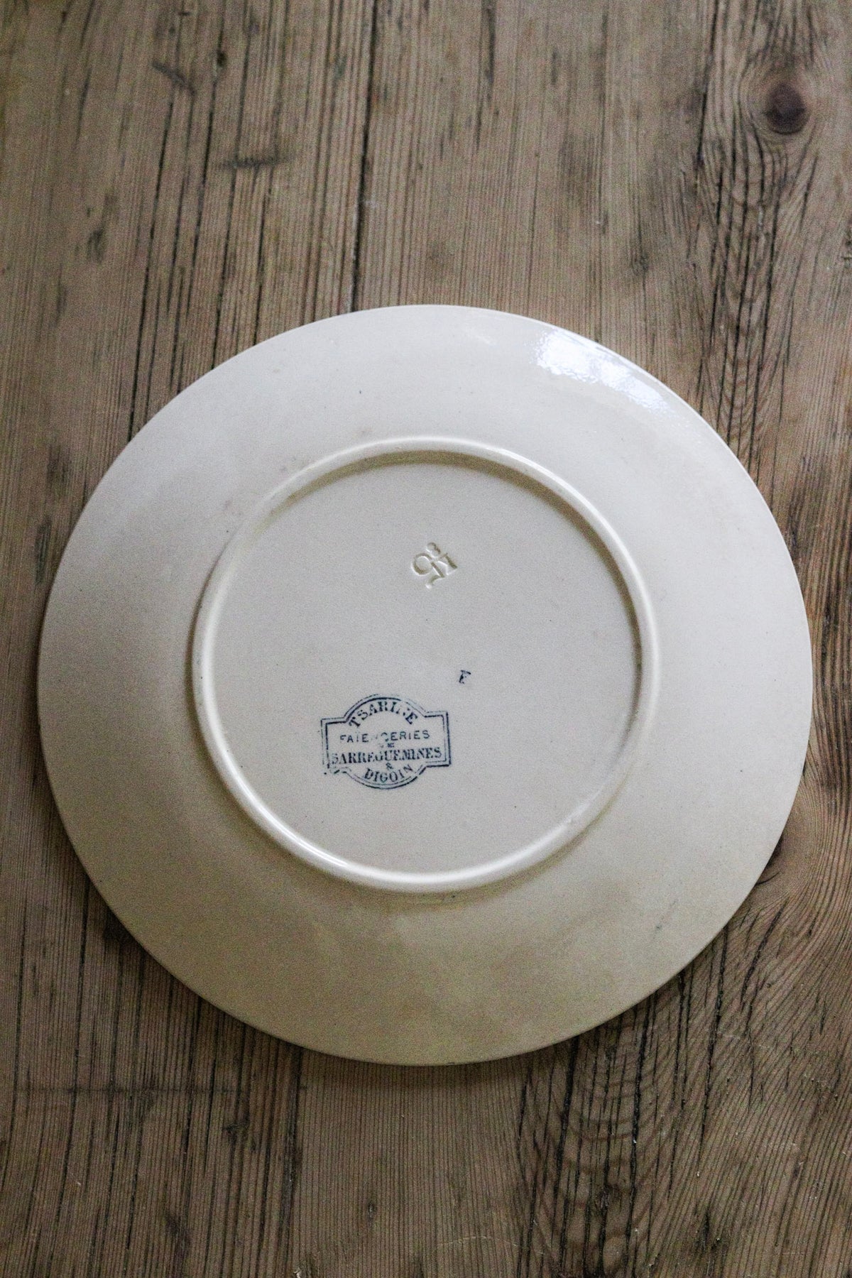 Antique French Transferware Plate with Flowers and Butterflies and Dragonflies