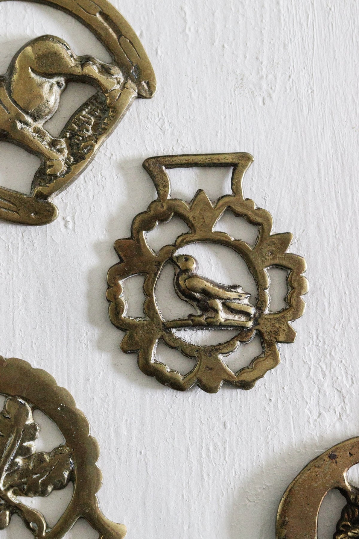 English Horse Brass - Bird