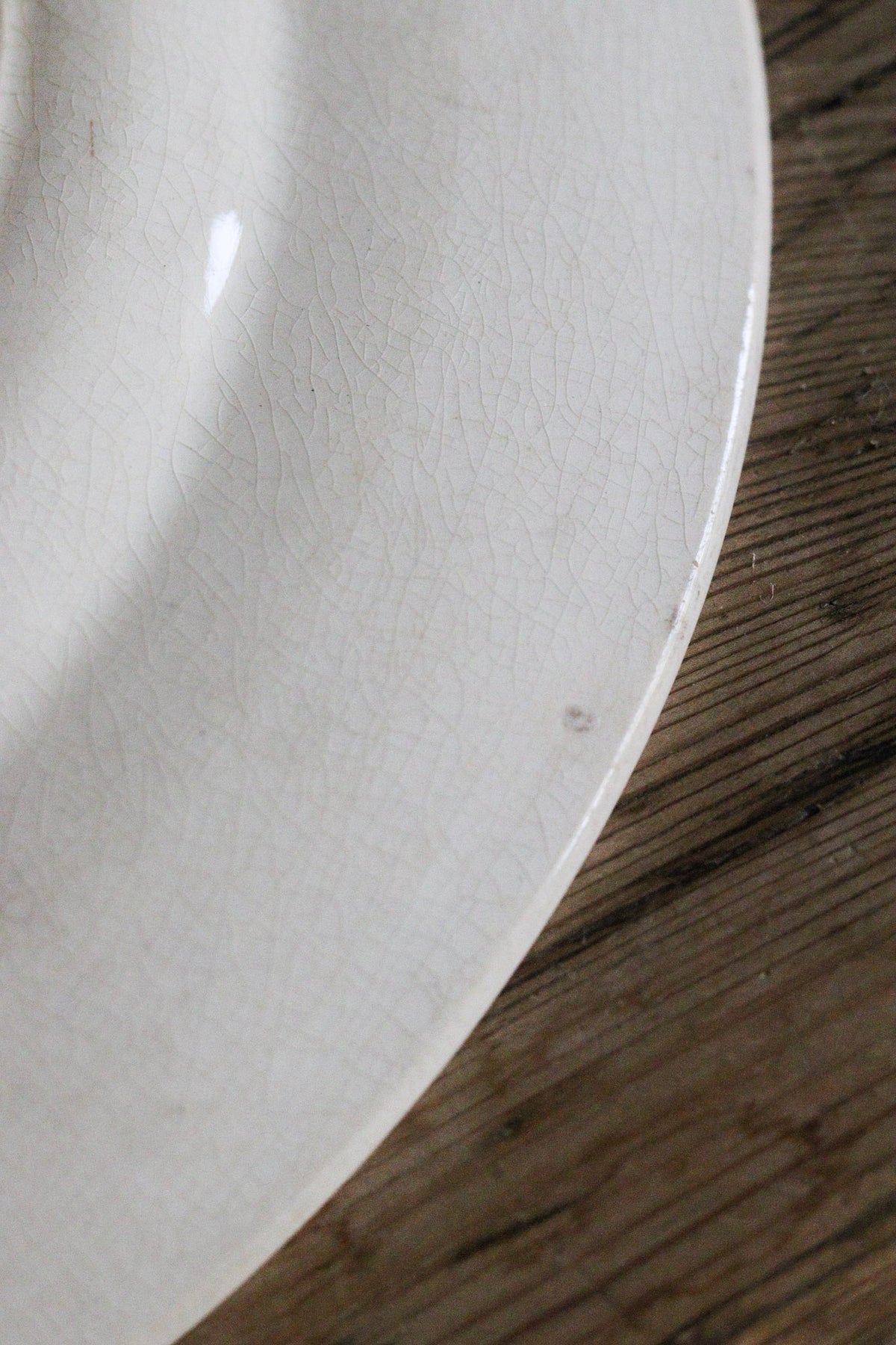 Stunning Large Antique French Transferware Plate with Birds