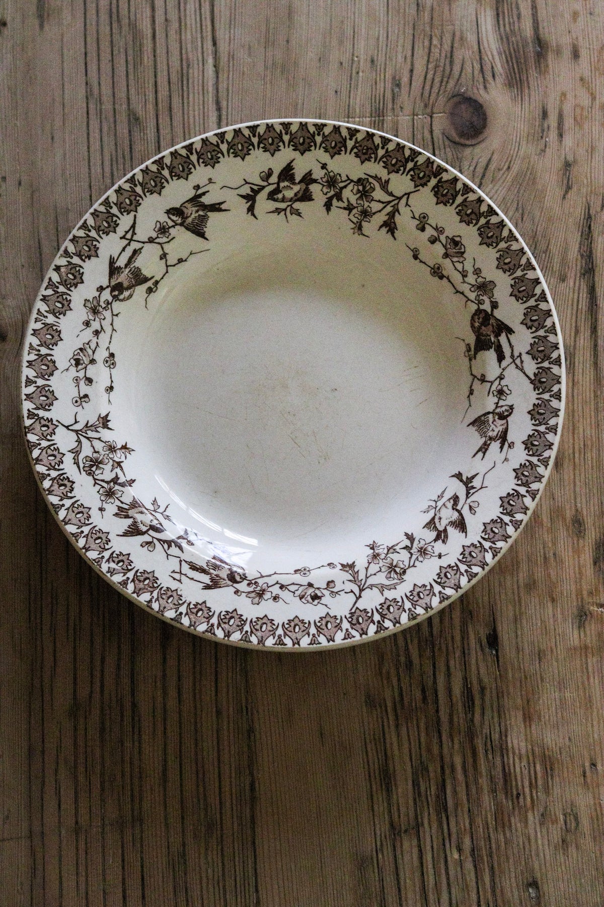 Antique French Transferware Shallow Bowl with Birds
