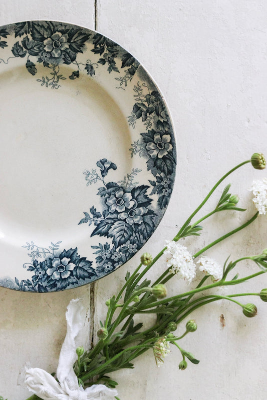 Antique French Transferware Plate - Marie Louise