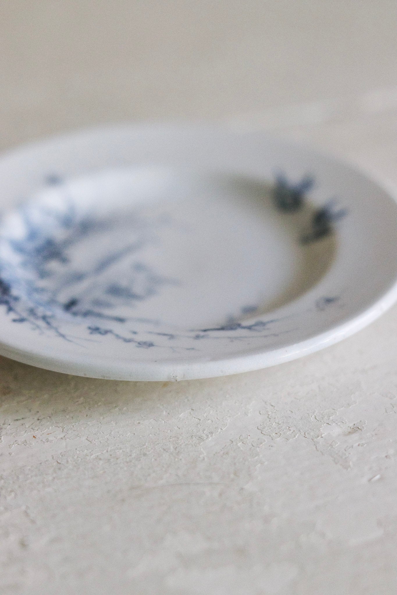 Set of Antique French Dînette Set Transferware Dinner Plates  No. 1