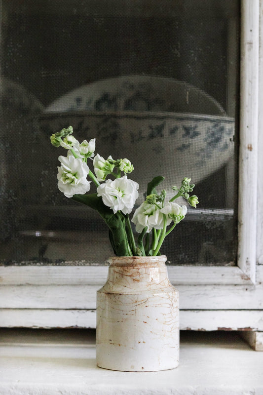 Antique English Pot