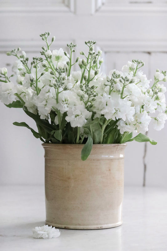 Extra Large French Ironstone Confiture Pot