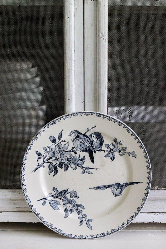 Antique French Transferware Plate with Birds